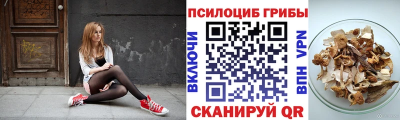 Псилоцибиновые грибы мухоморы  ссылка на мегу tor  Каменногорск  наркотики 